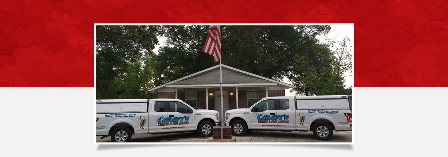 Pest Control in Sanford, Fayetteville, Lumberton, Hope Mills, Spring Lake, & Southern Pines, NC